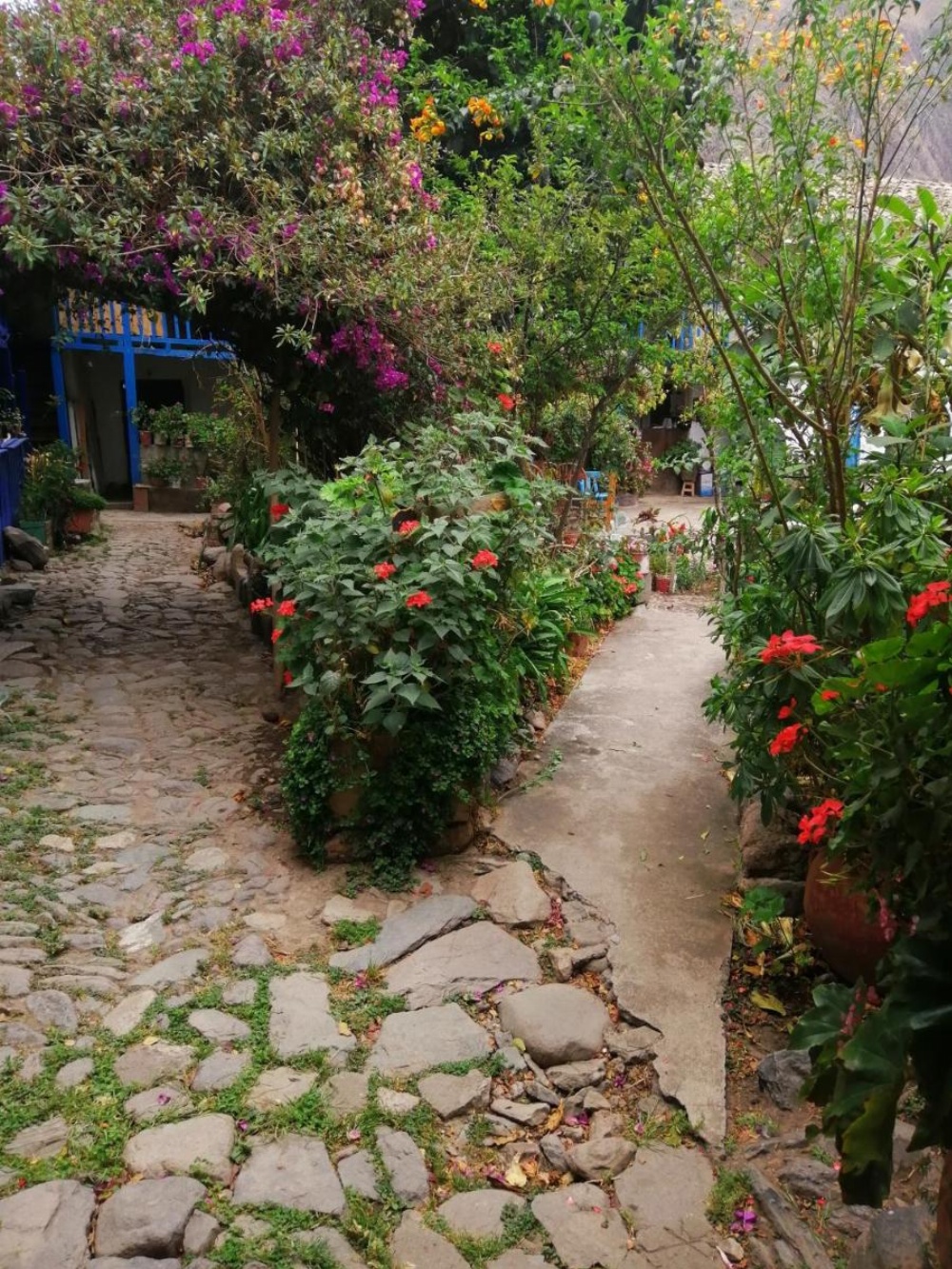 Hostal el tambo Image 7