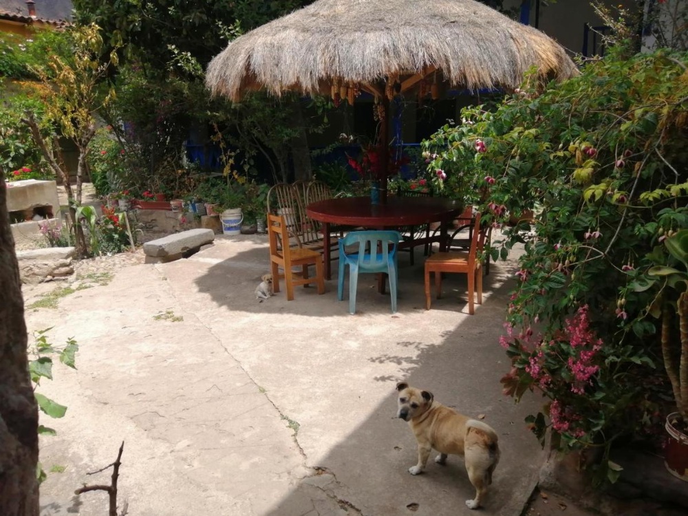 Hostal el tambo Image 8